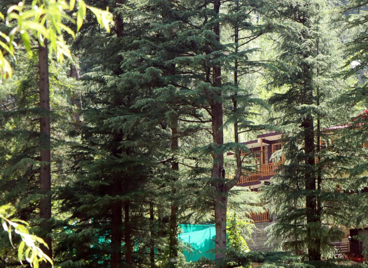 The Himalayan Heaven Apartamento Jibhi Exterior foto